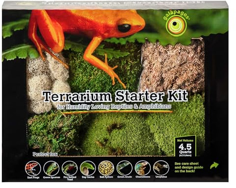 Galapagos Terrarium Deco kit de démarrage pour les environnements humides