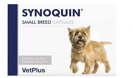 Synoquin EFA with DexahanSmall Breed - Dogs <10kg x 1