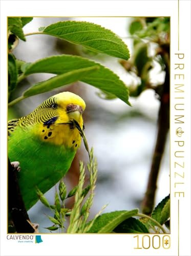 CALVENDO Puzzle Wellensittich - glückliche Wellihenne bei der Nahrungsaufnahme! | 1000 Teile Lege-Größe 48 x 64 cm Foto-Puzzle für glückliche Stunden