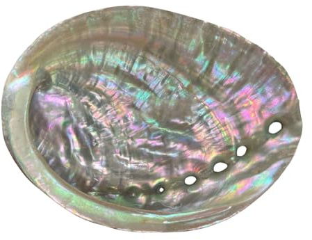 ZenithQuest 1 Pc Natural Abalone Shell Bowl, 4-4.5 Inch Iridescent Smudge Bowl for Sage Burning & Incense, Decorative Sea Shell Incense Holder for Home Decor & Display