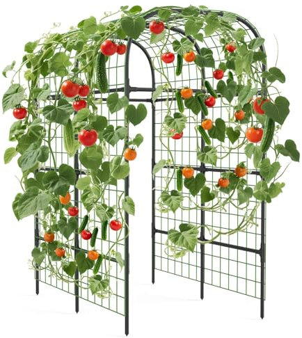 Virimolo Gartenbogen Für Kletterpflanzen, Rankgitter Metall 124 x 180 x 224 cm, Wetterfest Rankbogen Rosen, Rankhilfe Für Kletterpflanzen, Gemüse, Obst, Rosen Und Blumen