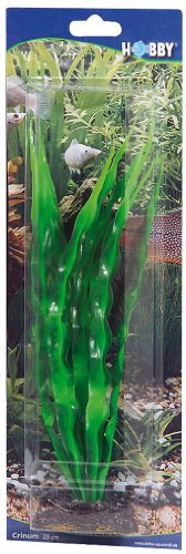 Hobby Aquaristik Crinum I 29 cm I Naturgetreue künstliche Aquarienpflanze I Keine Beeinflussung der Wasserqualität I Pflegeleicht