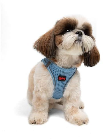 Air-Mesh Brustgeschirr für kleine und mittelgroße Katzen und Hunde – Weich, Atmungsaktiv, Strapazierfähig (Blau, S (Brustumfang 48–53cm))
