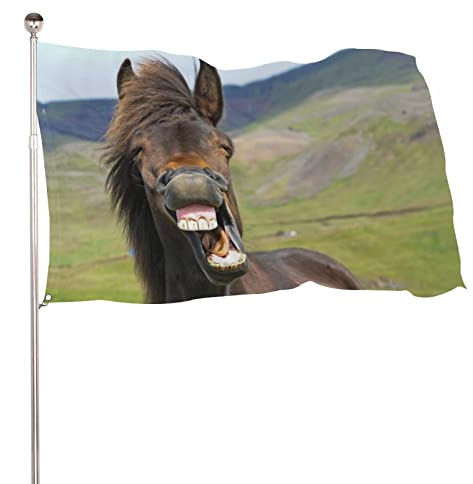 Dekorative Hausflagge, Hofbanner, Isländisches Pferd verleiht großen Lächeln auf einer Seite, Willkommensgartenflaggen, Rasendekoration, 60 x 90 cm