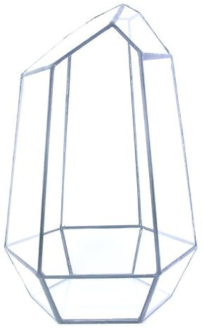 Bafnsiji Maceta de terrario de Vidrio, Plantas geométricas Terrario, Terrario de Vidrio geométrico Abierto para suculentas, Caintainer de Planta Decorativa para Plantas de Aire suculentas