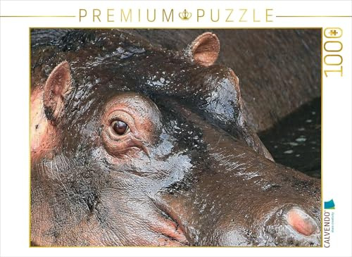 CALVENDO Puzzle Flusspferde – Augen-Blick | 1000 Teile Lege-Größe 64 x 48 cm Foto-Puzzle für glückliche Stunden