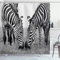 ABAKUHAUS Zebra Duschvorhang, Wildlife Burchell, Stoffliches Gewebe Badezimmerdekorationsset mit Haken, 175 x 220 cm, Schwarz Weiß