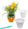 Baker Ross Pots de Fleurs à personnaliser (lot de 10) - Idéal comme cadeau de Fête des mères, Blanc