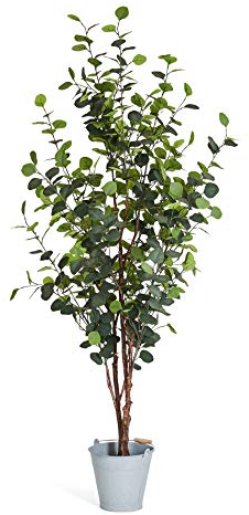 4Ever Green Künstliche Große Grüne Eukalyptus Silber Dollar Eucalyptus Baum Kunstpflanze Kunstblume Kunstbaum Zimmerpflanze im Plastik Topf, 180 cm Hoch