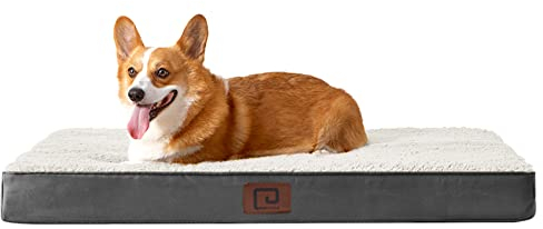EHEYCIGA Orthopädisches Hundebett Kleine Hunde 76x51x9cm, Hundekissen Waschbar Flauschig, Hundematte Hundematratze für Kiste, Beige