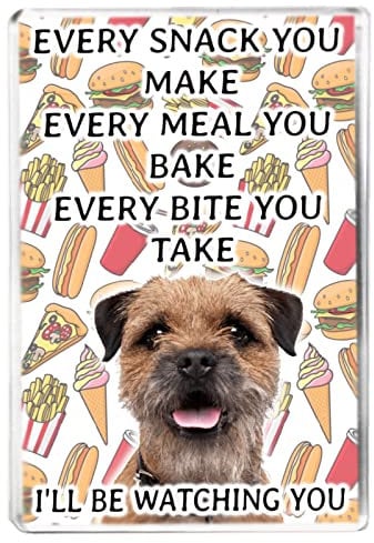 Every Snack You Make - Border Terrier - Funny Pet Owner Quote - Dog Mum/Dad - Fridge Magnet - Novelty Gift