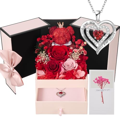 Touloube Ewige Rot Rose Geschenk für Frauen | mit Damen Herz Halskette | Infinity Rose Moosbär Geschenke Box für Mama Frauen Ehefrau Freundin Oma | Geburtstag Valentinstag Muttertag Jahrestag