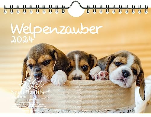 Welpenzauber DIN A5 Wandkalender für 2024 Hunde Welpen - Geschenkset Inhalt: 1x Kalender, 1x Weihnachts- und 1x Grußkarte (insgesamt 3 Teile)