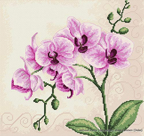 LUCAS Cross Stitch kit, AIDA fabric, Green,Pink,White, 1