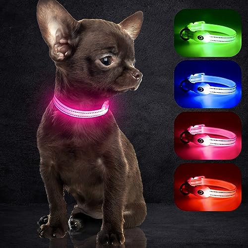 YFbrite LED Cat Collar – USB Rechargeable Waterproof Light Up Dog Collar, Fits Any Size Cat, Dog or Puppy, Glowing In The Dark Lights Collars for Pets Safety (Pink, XS)