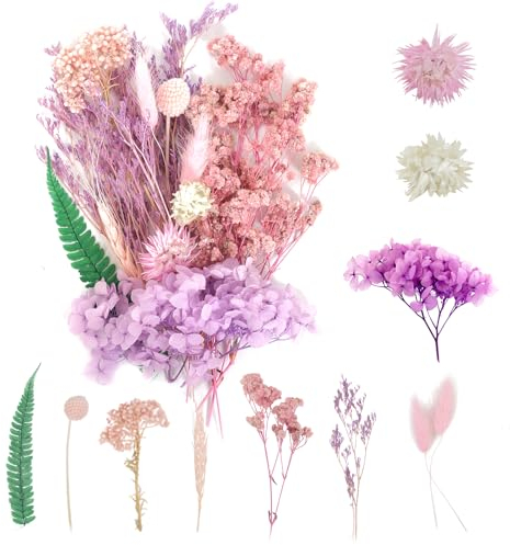 ANLIOTO Trockenblumen Violett, Mini Trockenblumen Klein zum Basteln Deko für Getrocknete Blumen Hochzeit Deko