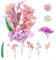 ANLIOTO Trockenblumen zum Basteln, Trockenblumen Klein, Trockenblume, Trockenblumen Deko für Zubehör Handgemachte Heimdekoration Hochzeit (Stil 4)