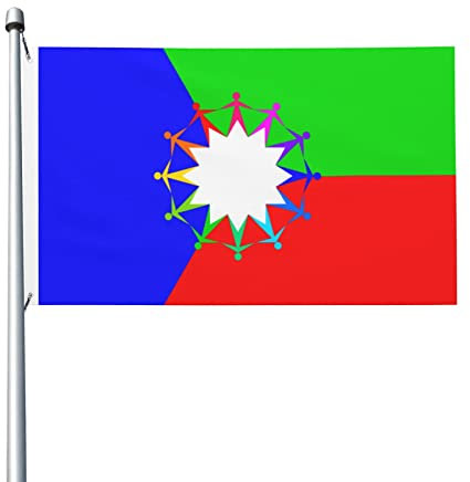 Demokratie-Flaggen, 90 x 150 cm, für den Außenbereich, doppelseitige Flagge, Polyester, leichte Flaggen, lustige Heimdekoration, 3 x 5 Flaggen