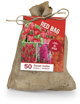 Bloomique - Mix di 50 - Le Sac Rouge - Mix Rouge - Tulipani, Giacinti, Ixia - Bulbi da fiori - Fioritura primaverile - Piante perenni