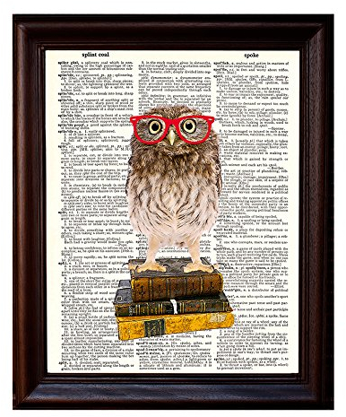 Wörterbuch-Kunstdruck, Eule Smarty Pants Nerdy Junge Eule mit roter Brille, Illustration auf recyceltem Vintage-Wörterbuchpapier, 21,6 x 27,9 cm, Mixed Media Poster auf Vintage-Wörterbuchseite