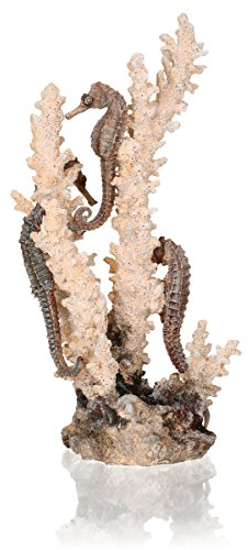 biOrb 55039 Seepferdchen natur M - Mittelgroße Seepferdchen-Skulptur mit Korallen, Aquarium Ornament, Gestaltung von Süßwasser- und Meerwasseraquarien