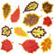 Papierdrachen Fensterbilder - 36 vorgestanzte Laublätter zum Basteln für Kinder - Herbstbasteln mit Tonkarton und Transparentpapier - Set 1