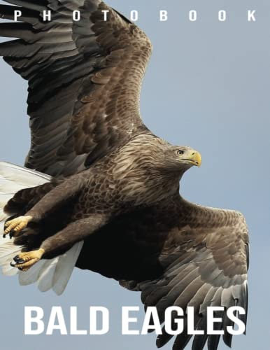 Picture Book Of Bald Eagles: A Great Gift With Impressive And Attractive Illustrations Of The Most Variety Beautiful Significant Poster For Bald Eagles Lovers On Any Special Occasion