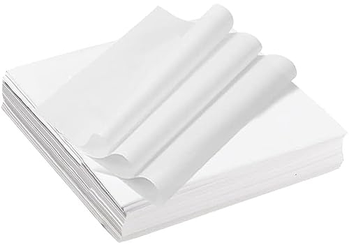 Aiareozy 100 Fogli Carta Alimentare 25x25 cm, Oleata e Cerata per Alimenti, di Riso per Panini, Patatine Fritte, Hamburger, Formaggio, Torte