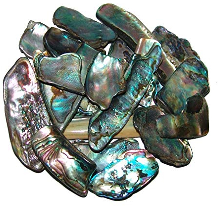 Janni-Shop-Deko & Schönes Paua Shell 50 Gramm = 10-18 Stücke Seeopal mit herrlichem blauem Farbspiel ca. 20-50 mm