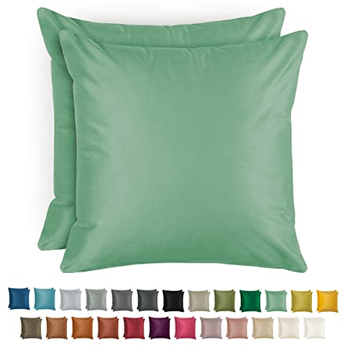 Blumtal 2er Set Kissenbezug 40x60 cm Hellgrün - dekorativer Samt Kissenbezug mit verstecktem Reißverschluss, Kissenhülle für Zierkissen Deko-Kissen Polster Sofakissen & Couchkissen, waschbar