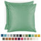 Blumtal 2er Set Kissenbezug 40x60 cm Hellgrün - dekorativer Samt Kissenbezug mit verstecktem Reißverschluss, Kissenhülle für Zierkissen Deko-Kissen Polster Sofakissen & Couchkissen, waschbar