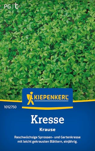 Kiepenkerl Kressesamen Krause 1012750 – Sprossen- und Gartenkresse - Raschwüchsig - leicht gekrauste Blätter - einjährig - Saatgut, Samen Gemüse, Gemüsepflanzen
