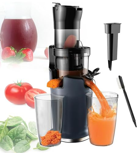 pealiritansemen 200 W Slow Masticating Juicer Machine, Large Capacity Automatic Cold Press Double Filtering High Juice Yield, Detachable Components, Large Diameter Feed Trough