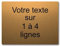 Plaque gravée personnalisée 1 à 4 lignes 20x15cm autocollante Or Brossé