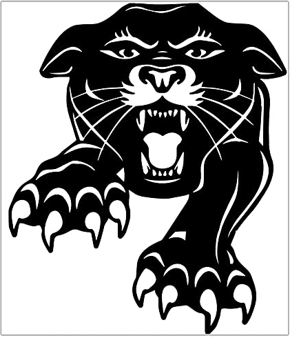 Biomar Labs® 1 x Vinyl Aufkleber Autoaufkleber Sticker Schwarze Panther Fenster Wohnmobil Wohnwagen Auto Motorrad B 89 Z*
