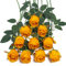 DuHouse 10pcs Artificial Silk Roses Flowers Single Long Stem Fake Rose Bouquet for Wedding Home Party Decoration Centerpieces(Orange)