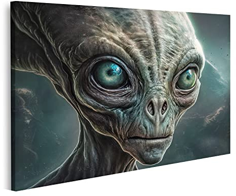 islandburner Prime Bild auf Leinwand Portrait Alien Bilder Wandbilder Poster