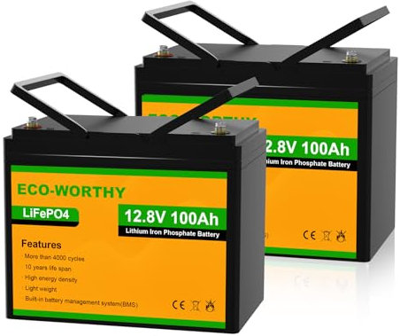 ECO-WORTHY 2-Pack 100AH LiFePO4 Battery 12.8V Lithium Iron Phosphate with Low Temperature Protection,4000-15000 Cycles and 100A BMS,for RV,Motorhome,Boat,Household Solar Panel System