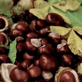 20 ServiettenChestnut - Kastanien braun gruen