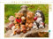 CALVENDO Puzzle Pilze sammeln Macht Spaß 1000 Teile Lege-Größe 64 x 48 cm Foto-Puzzle Bild von Meike Bölts Bölts, Meike