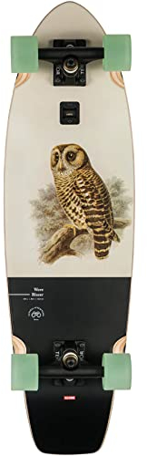 Globe Cruiserboard Wave Blazer Hoot Owl 31