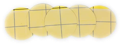 Dragonfli Sticky Pad Replacements For Pheromone Traps (Pack of 5) - Catch Flying Insect Pests - Use In Pea, Leek, Codling, Plum Fruit & Box Tree Moth Pheromone Traps