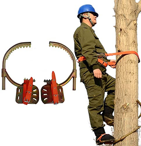 Ramponi Alberi Altezza, Ramponi per Alberi Ramponi Albero per Raccolta Frutta Abbattimento Potatura degli Alberi
