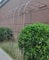 Rosenbogen Halbbogen, Kletterpflanzen Gartenbogen Gartenlaube Aus Metall,Wetterfeste Halber Seitenwand-Torbogen Rankhilfe Rankgitter Pergola,Hochzeitsbogen Feierliche Dekoration (160x240cm)