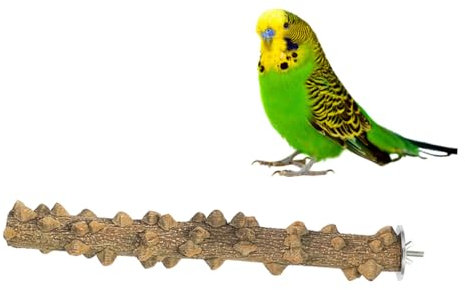 minkissy Papageien-spielständer Aus Naturholz Vogelständer Zum Befestigen An Käfigen Spielplatz Und Sitzstange Für Papageien Nymphensittiche Und Kleine Vögel Zum Spielen Und Ausruhen