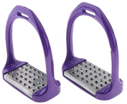 Tubayia 1 Paar Edelstahl Steigbügel Sicherheitssteigbügel für Erwachsene Reitzubehör (Lila)