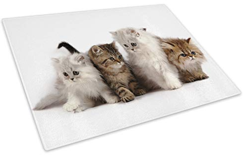 Kittens Cat White Brown Glass Chopping Board Kitchen Worktop Saver Protector