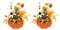 2 stücke Kürbis mit Ahornblätter Zierkürbisse Deko Kürbisse für Halloween Thanksgiving Herbstdeko (Sonne grün Gebogene Melone)