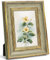 Afuly 4x6 Photo Frame 6x4 Vintage in Gold and Antique Sage Green Picture Frames for Desk Wall Tabletop Home Decor Family Friends Women Mom Grandma Christmas Birthday Gifts