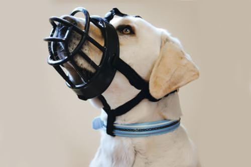 Julius Hundegeschirr Typ Weste 300 g